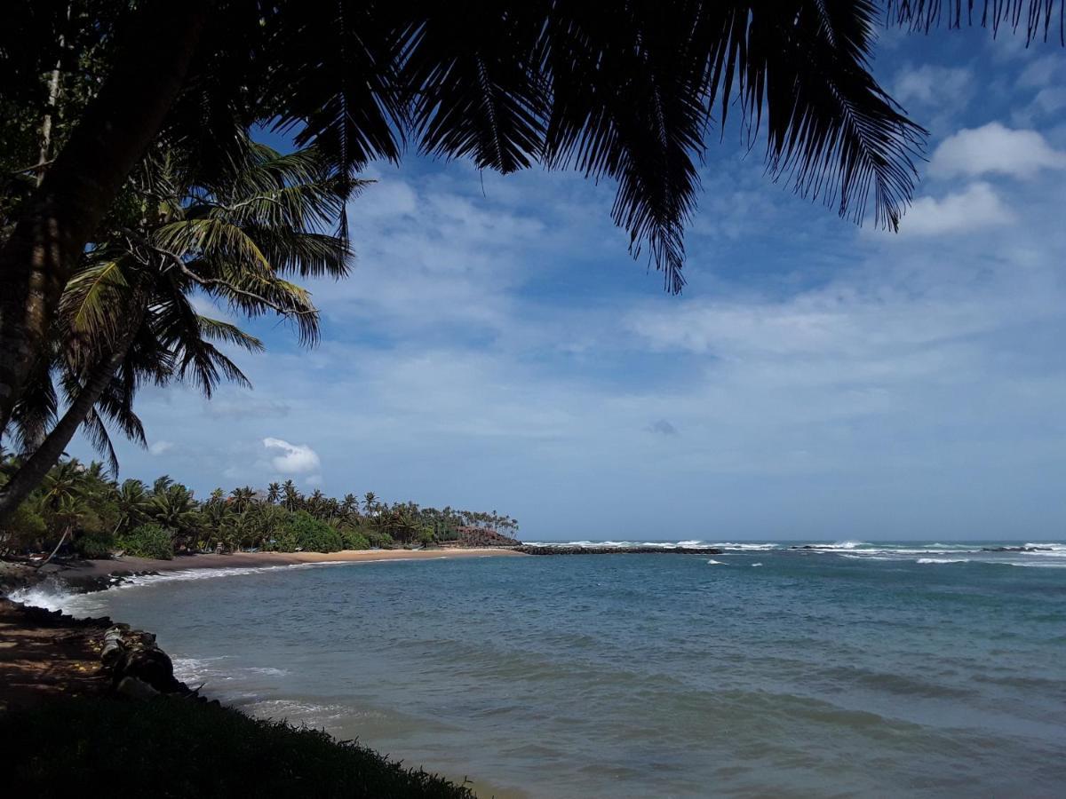 Palm Villa Mirissa Hotel&Spa 외부 사진