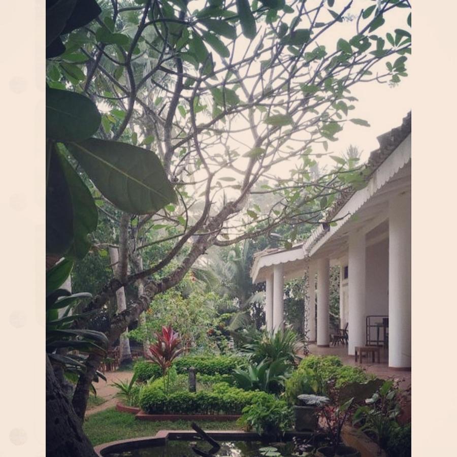 Palm Villa Mirissa Hotel&Spa 외부 사진