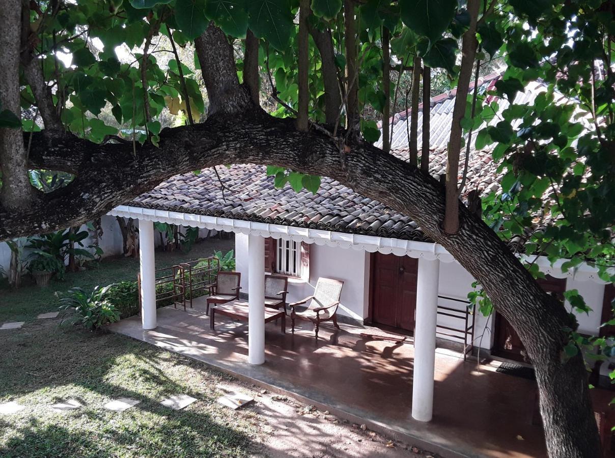 Palm Villa Mirissa Hotel&Spa 외부 사진