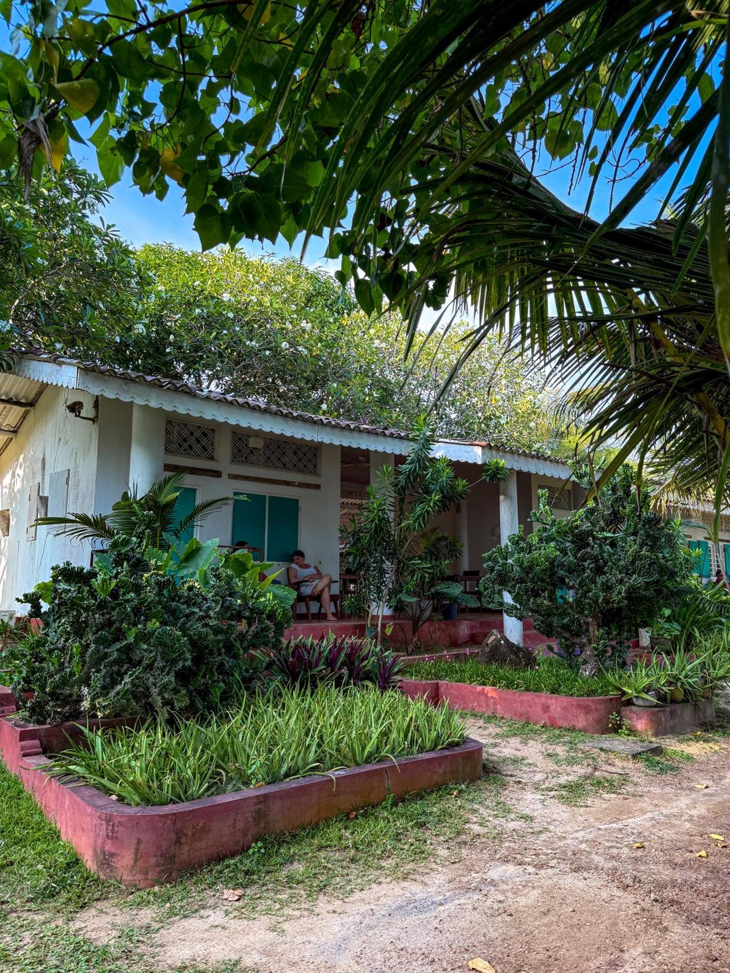 Palm Villa Mirissa Hotel&Spa 외부 사진